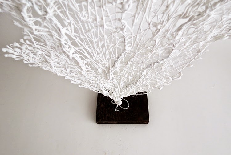 DIY coral DIY coral