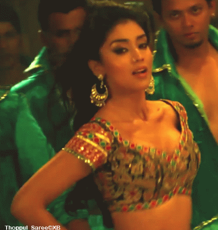 shriya+saran+boobs+cleavage+bunch(5).gif