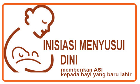 inisiasi menyusui dini inisiasi menyusui dini