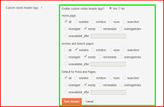 Edit Custom robots header tags Edit Custom robots header tags