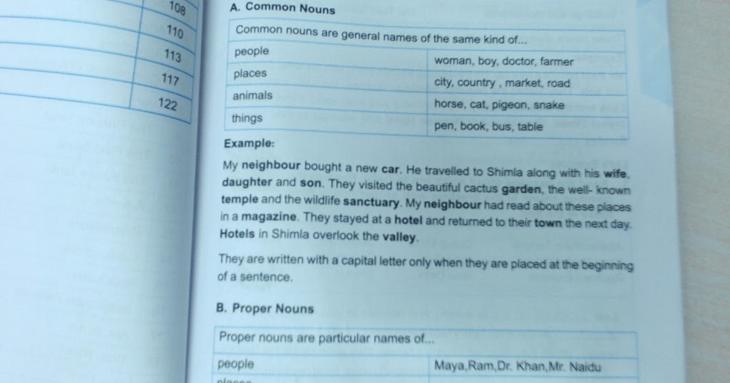 PIS VADODARA STD 3 English Grammar Galaxy Ch1 Nouns