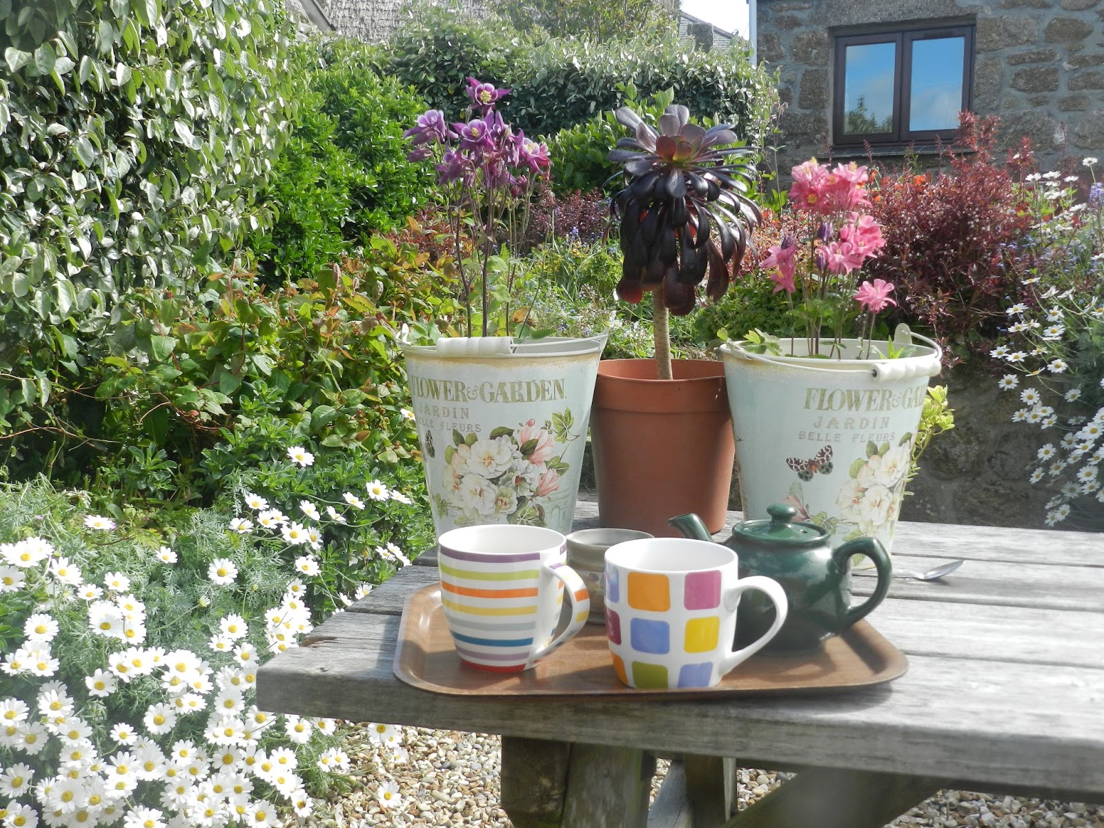 Penver Studio TREEN CORNWALL