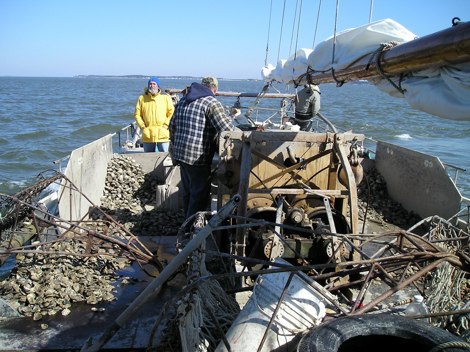 Ocracoke Island Journal: Oyster Dredging