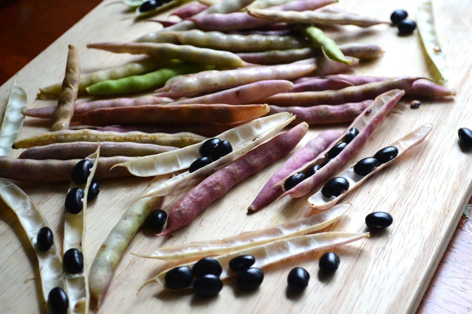 Nourish The Roots Some Thoughts on Black Beans in the Pod