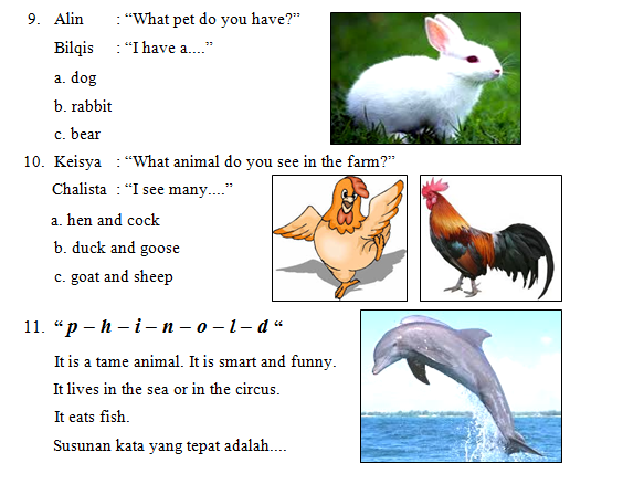contoh soal arrange bahasa inggris kelas 6 sd contoh soal arrange bahasa inggris kelas 6 sd