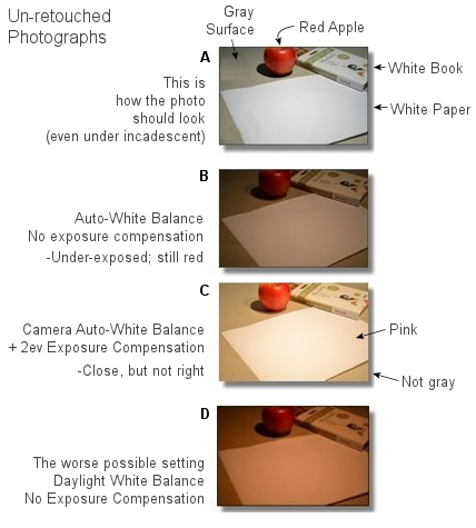 Balance Presets Different White Balance Settings Nikon D5100 White