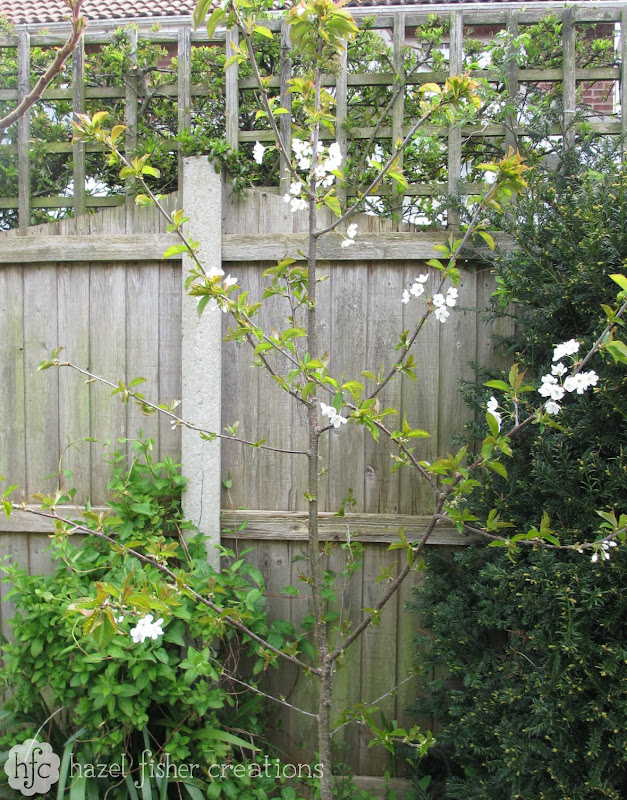 Cherry Blossom- my tree - hazel fisher creations Cherry Blossom- my tree - hazel fisher creations