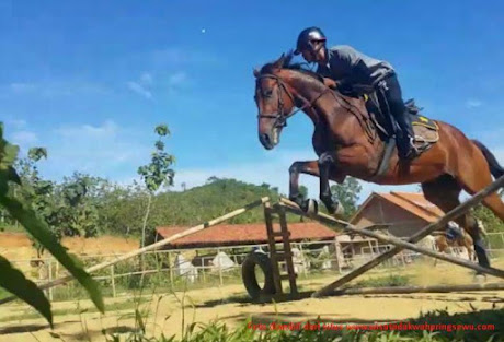 Serunya Wisata Berkuda di Pringsewu Lampung Serunya Wisata Berkuda di Pringsewu Lampung