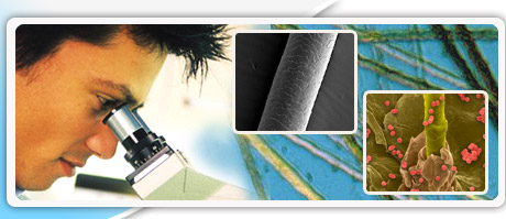 how to clean your hair for a hair follicle test how to clean your hair for a hair follicle test