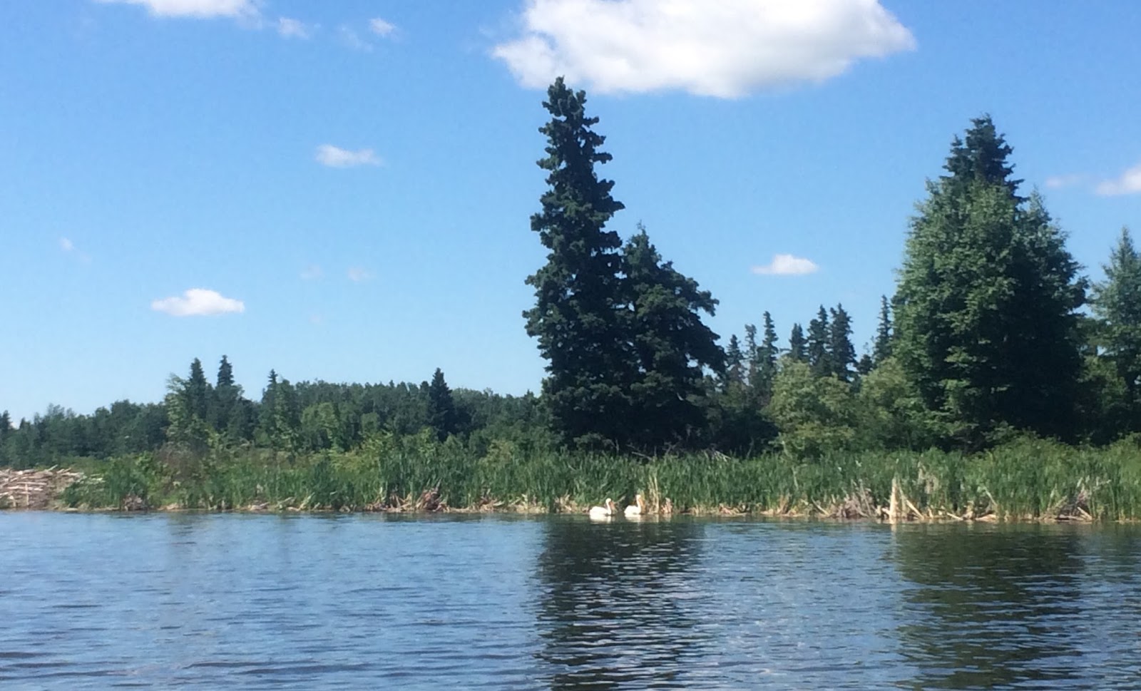 Canoeing Around Edmonton, Alberta, Canada Astotin Lake