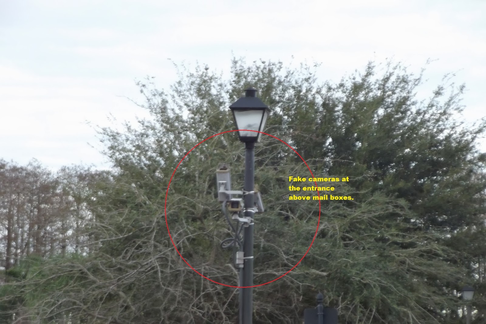 Kempton Park Orlando Florida