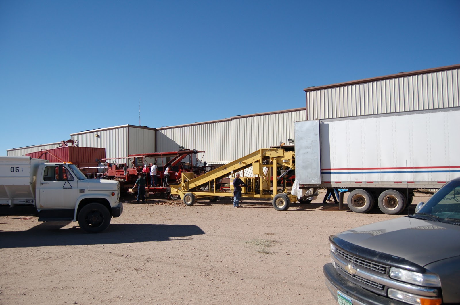 Crop Ideas Potatoes in the San Luis Valley of Colorado