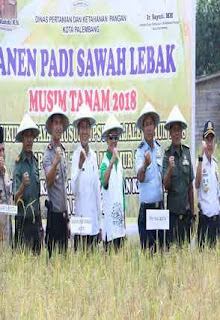 Kecamatan Kertapati merupakan daerah dengan lahan pertanian paling luas di Palembang