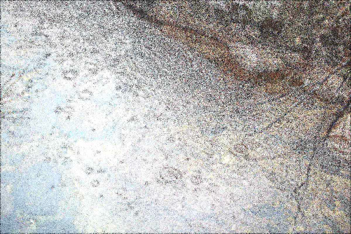 원주 구룡사 원주 구룡사