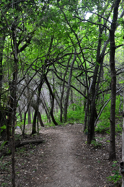 Freedom_to roam_roadtrip. : Arbor Hills Nature Preserve