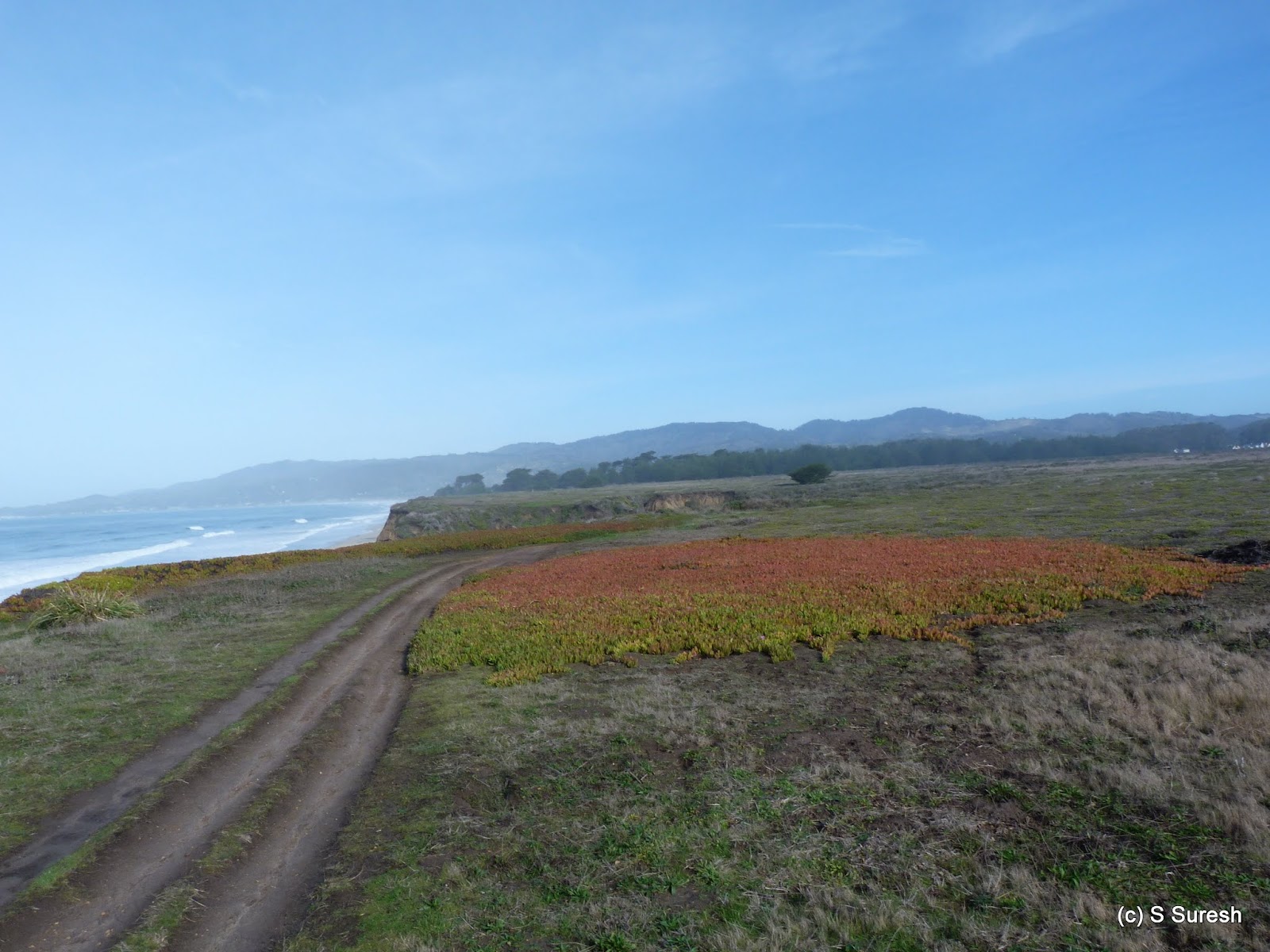 Dog Friendly Hikes Half Moon Bay Coastal Trail (Miramontes Pt