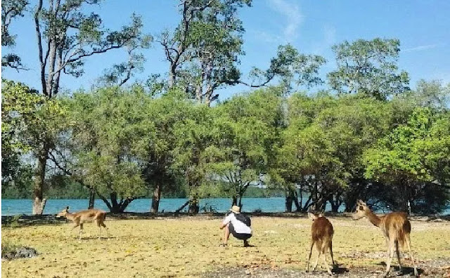 5. Ujung Kulon - Banten 5. Ujung Kulon - Banten