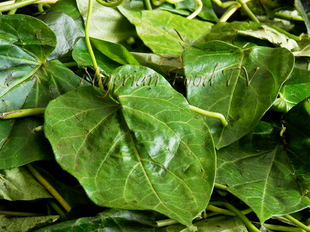 Utazi leaves Otazi leaves (Gongronema latifolium), Difference Between Okazi(Ukazi),Utazi, and Uziza leaves