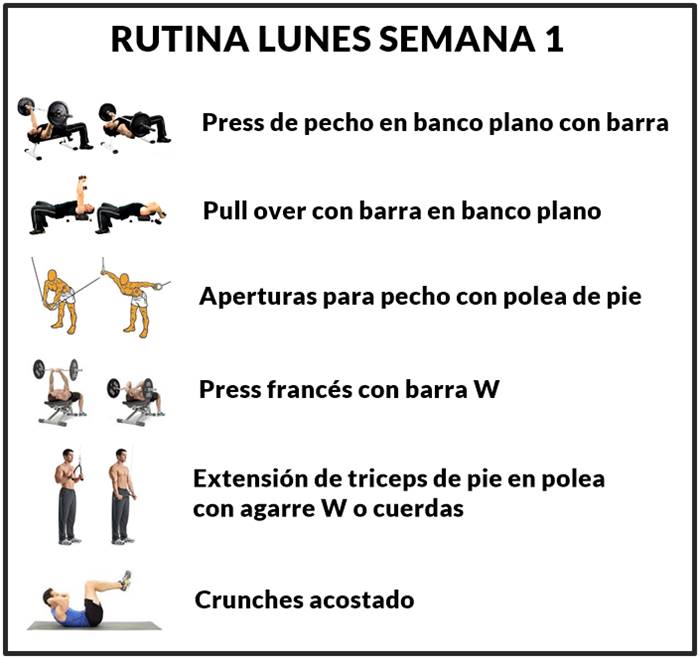 Rutina De Ejercicios Con Pesas Para Hombres Ectomorfos Delgados O Flacos