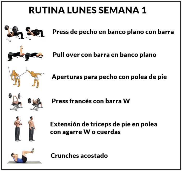 triángulo cartucho apasionado Rutina de ejercicios con pesas para hombres ectomorfos, delgados o flacos