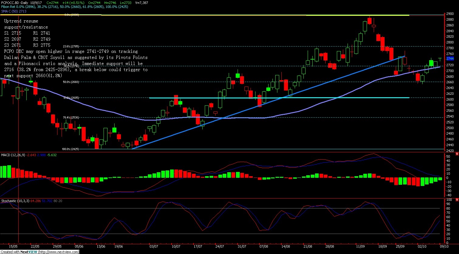 Crude palm oil trading strategy