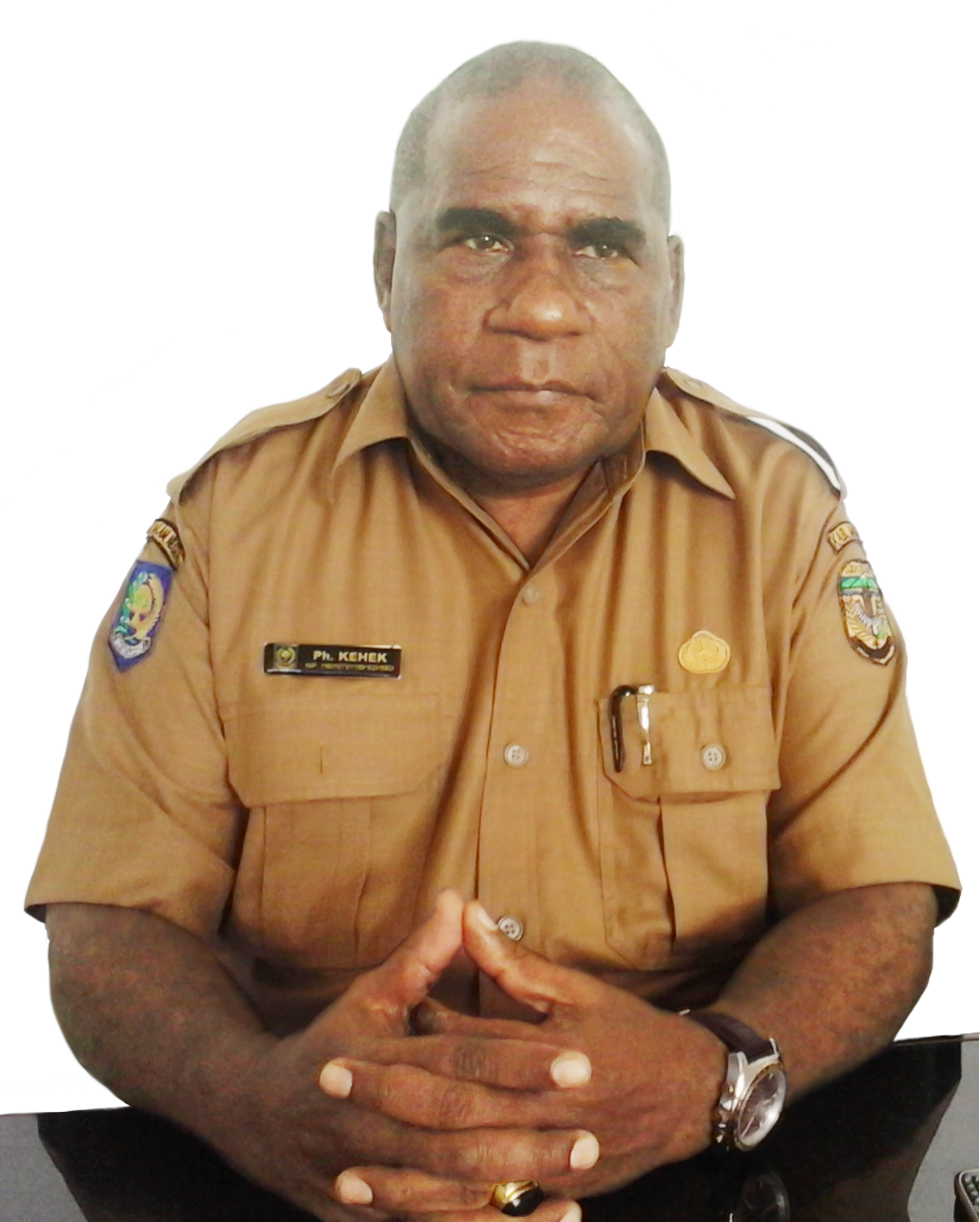 Penyakit Kusta di Mimika Cukup Besar - Wow Lelemuku!