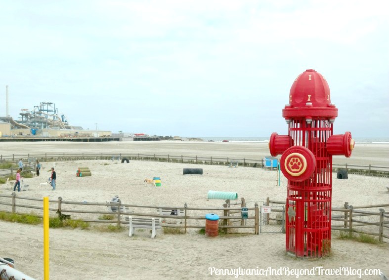 Pennsylvania & Beyond Travel Blog The BEST Oceanfront Dog Park in Wildwood