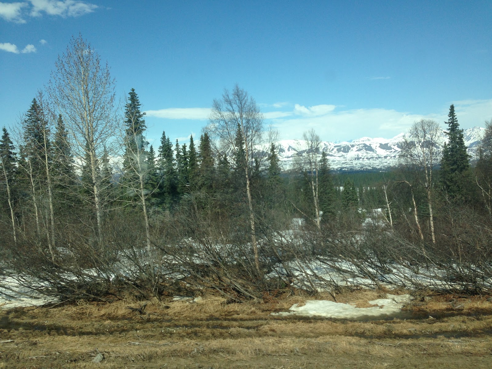 Two Many Adventures Trapper Creek, Alaska