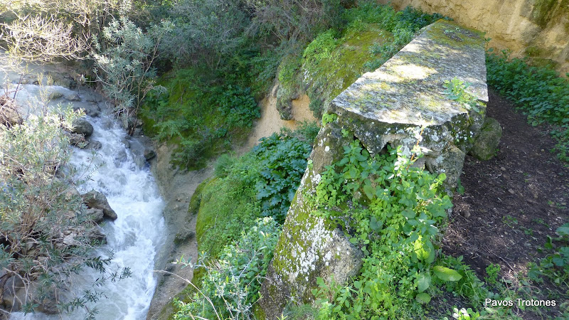 TROTONES BLOG Tajos de Mogarejo