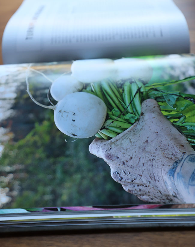 Sneak Peek - My first gardening book is published - Pre-orders are welcome! Sneak Peek - My first gardening book is published - Pre-orders are welcome!