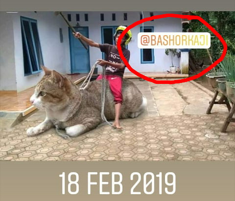 cara repost instastory tanpa aplikasi cara repost instastory