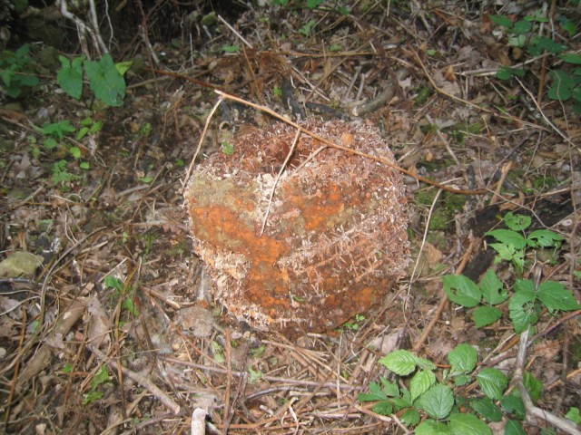 FDRA - Historia de la Defensa