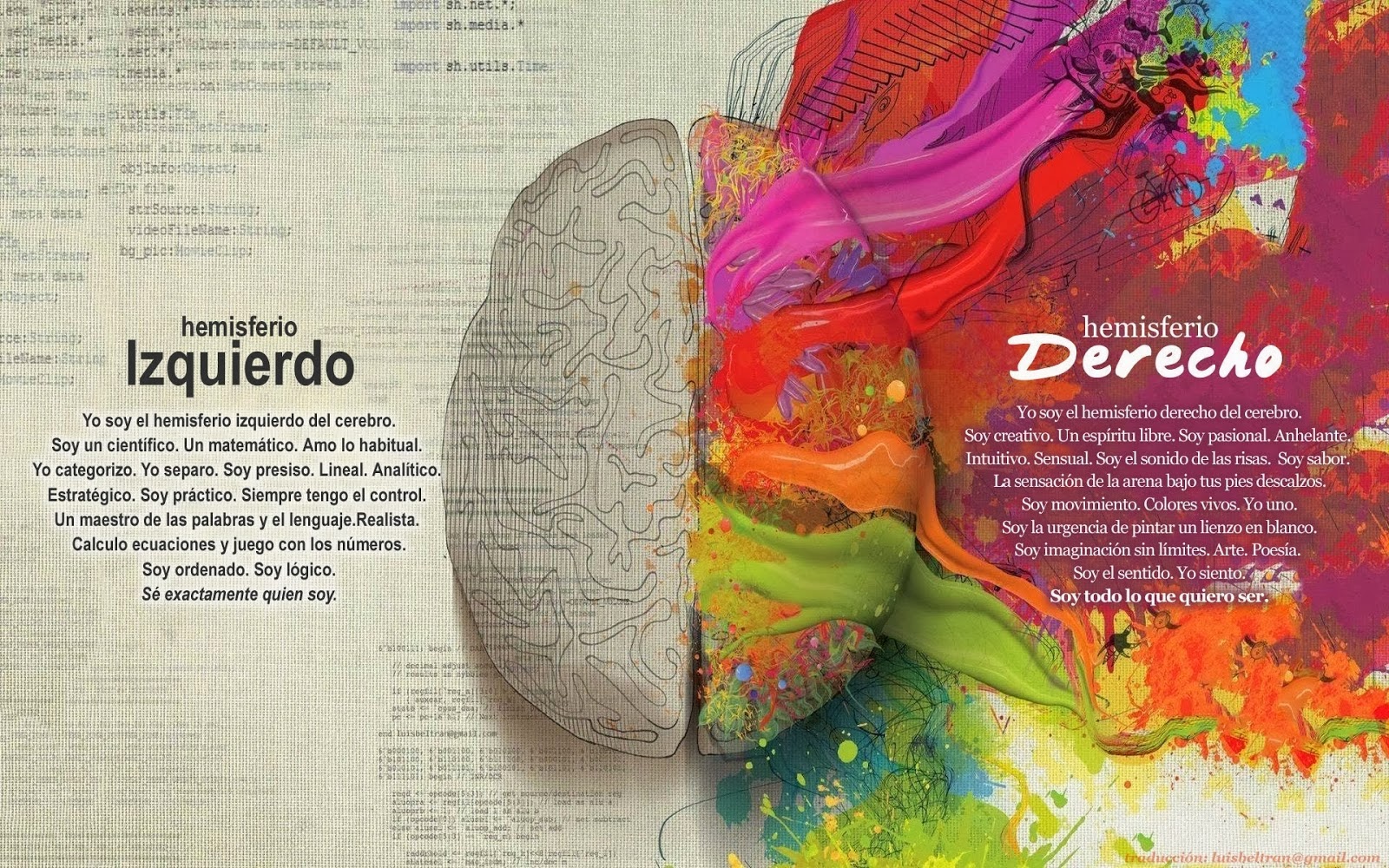 Lámina del cerebro representando ambos hemisferios y sus caracteristicas. Hemisferio derecho de múltiples colores.