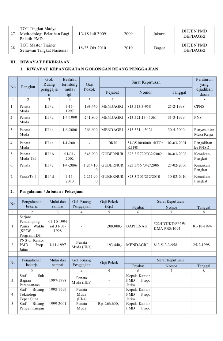 Contoh Daftar Riwayat Hidup PNS ben jobs