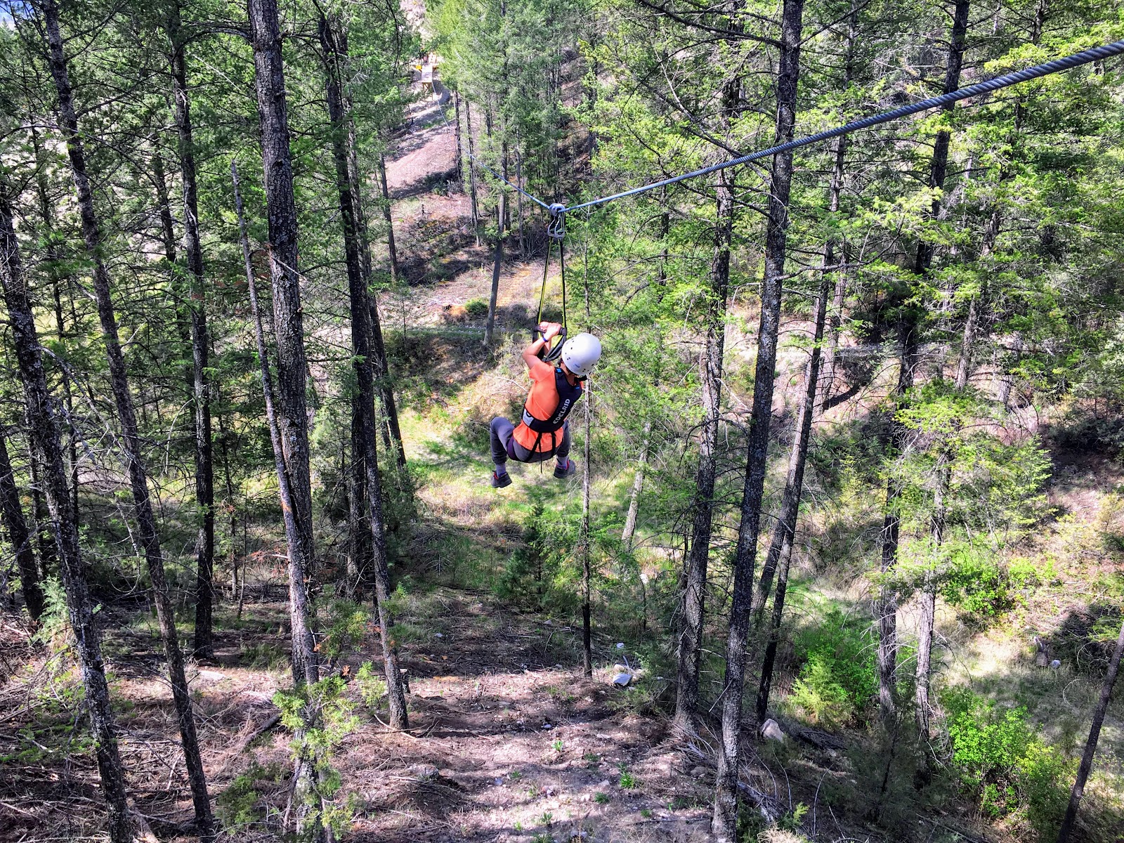 Family Adventures in the Canadian Rockies Valley Zipline Adventures Tour, Radium Hot Springs