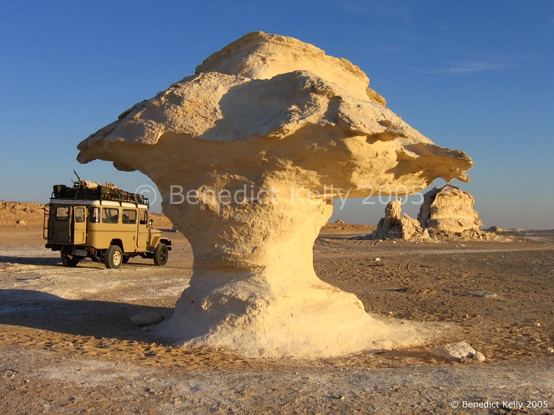 batu jamur cendawan mushroom rock
