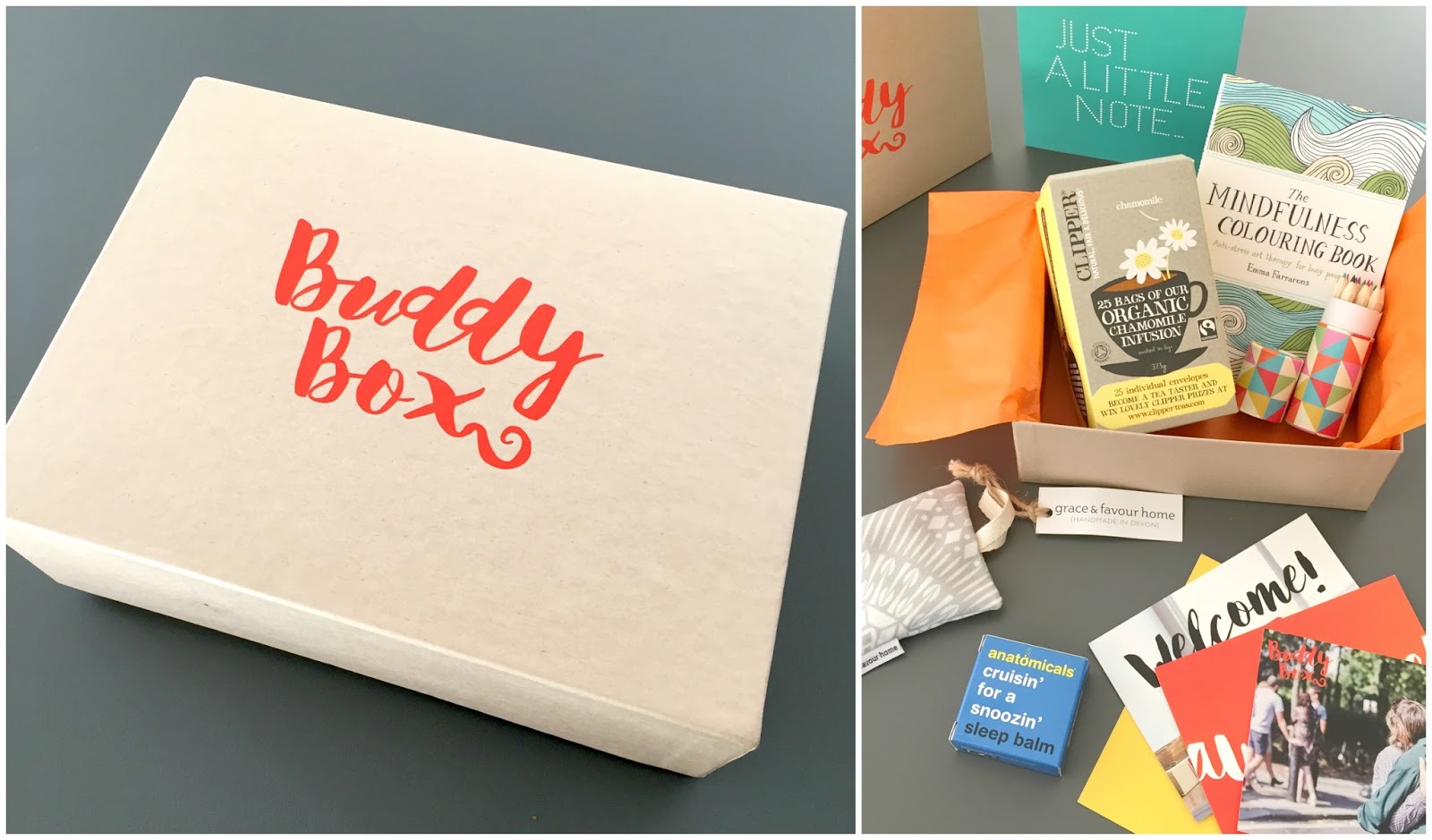 Buddy in a Box. Review box