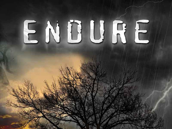 Cover Reveal: Endure by M.R. Merrick