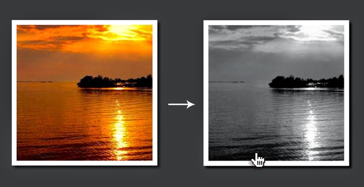 Grayscale effect CSS image hover effect