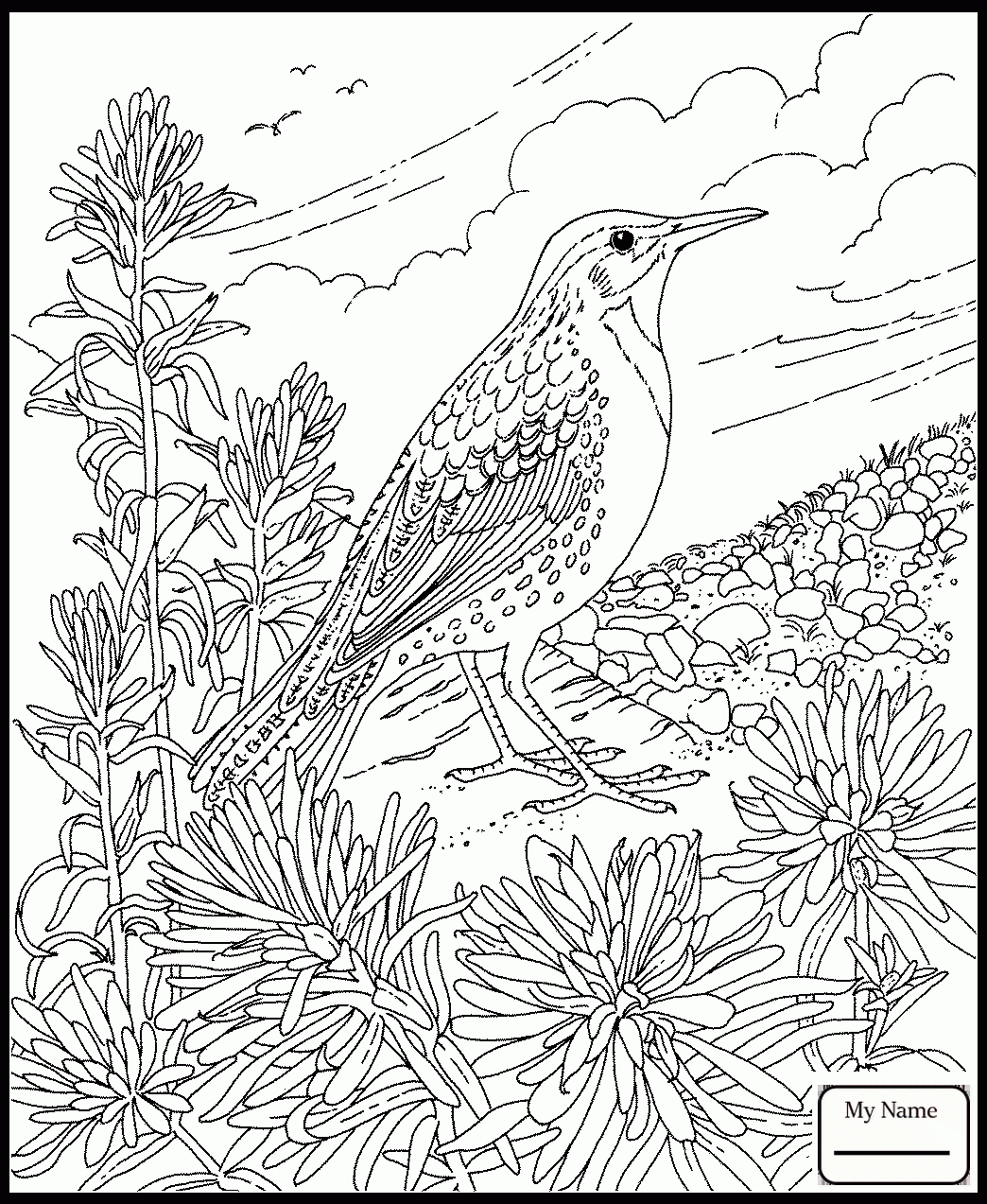 10 Beautiful State Bird Coloring Pages to Color