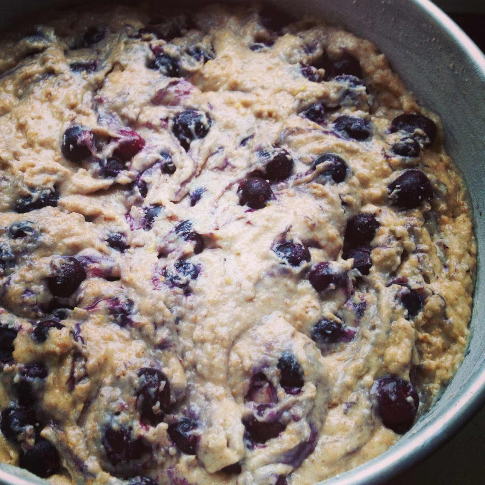 foodrefuge Fluffy Vegan Whole Wheat Blueberry Cake