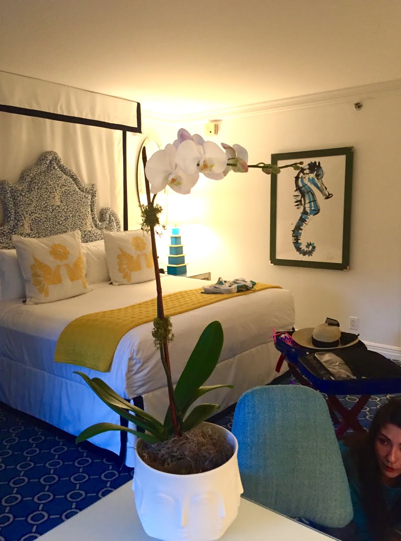 Eau Palm Beach Room - Orchid Orchid in the hotel room.