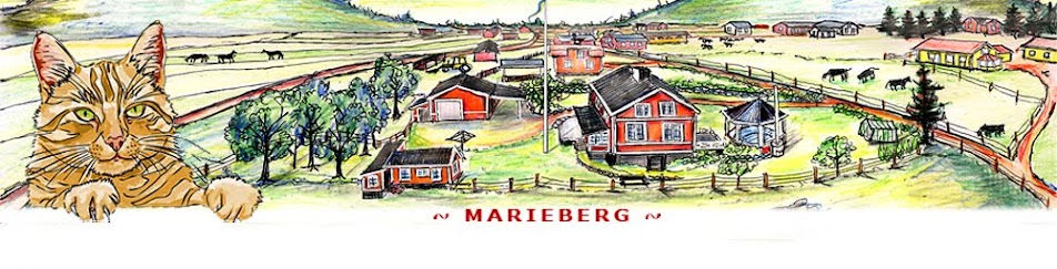 ~ Marieberg ~