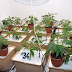 Dream Vendor “CzechoSlovakFarm” Busted in Slovakia