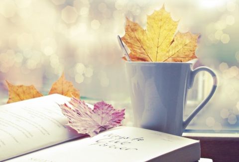 Τα βιβλία που πρέπει να διαβάσουμε οπωσδήποτε φέτος το φθινόπωρο