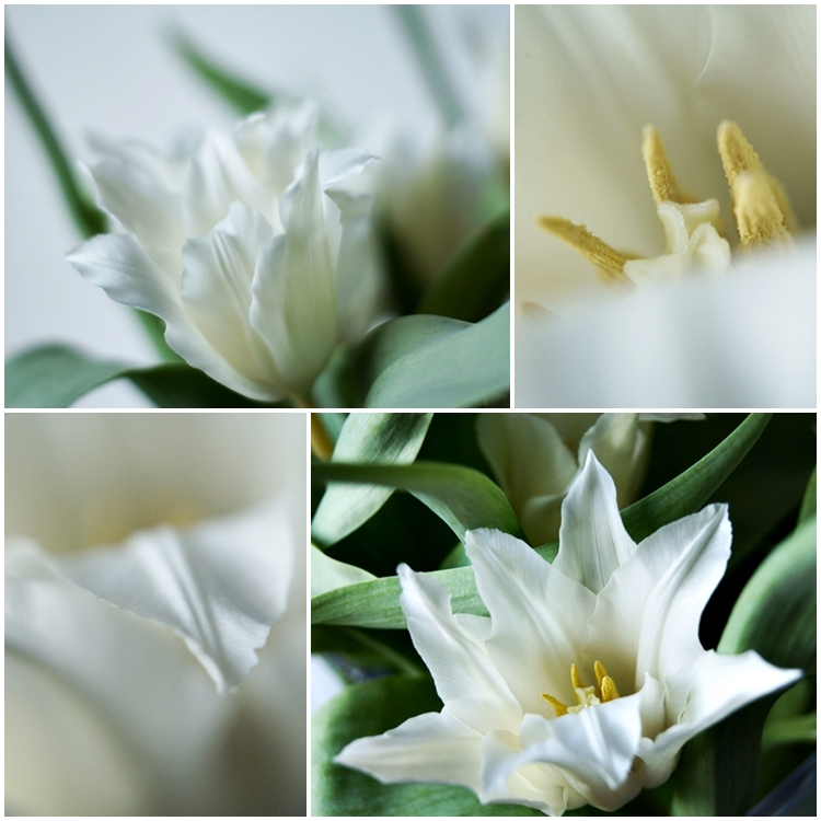 Collage einer weißen Tulpe mit spitzen Blättern { by it's me! }