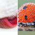 15 FOTOS PROVANDO QUE AS COISAS SÃO MAIS LEGAIS COM UMA LENTE MICROSCÓPICA