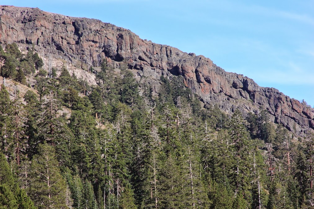 the real weather Rain exceeds expectations.