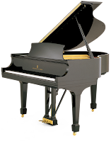 Adagio GDP8820 & MGP100 Pianos