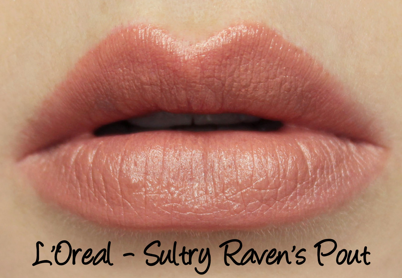 L'Oreal Project Runway Lipstick - Sultry Raven's Pout Swatches & Review - Lani Loves